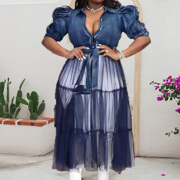 Plus Size Denim Dress